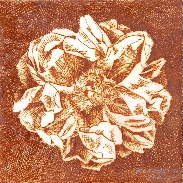 Peony 2014 Frank Rosenzweig Kunstdruck 2 Peony 2014 Frank Rosenzweig Kunstdruck