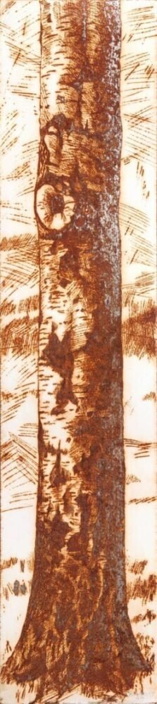 Birkenstamm - Frank Rosenzweig - Kunstdruck