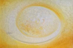 Paysage ensoleillé (Sonnige Landschaft) - Sada Tall - DER KUNSTPATE